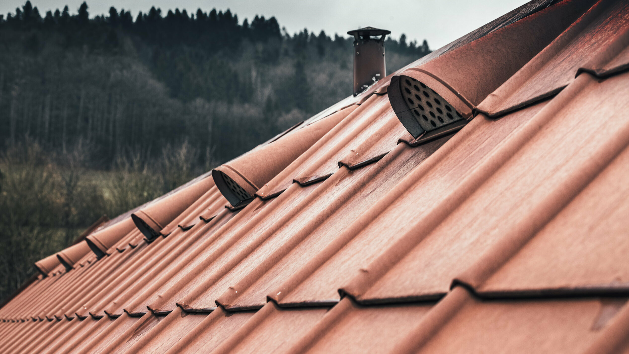 Detailaufnahme des eingedeckten Daches mit der PREFA Dachplatte